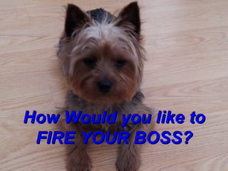 How Would you like to
FIRE YOUR BOSS?

 