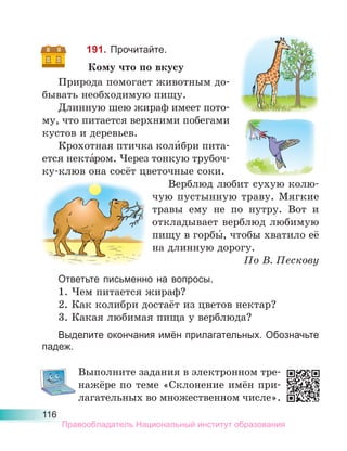 116
191. Прочитайте.
Кому что по вкусу
Природа помогает животным до-
бывать необходимую пищу.
Длинную шею жираф имеет пото-
му, что питается верхними побегами
кустов и деревьев.
Крохотная птичка коли́бри пита-
ется некта́ром. Через тонкую трубоч-
ку-клюв она сосёт цветочные соки.
Верблюд любит сухую колю-
чую пустынную траву. Мягкие
травы ему не по нутру. Вот и
откладывает верблюд любимую
пищу в горбы́, чтобы хватило её
на длинную дорогу.
По В. Пескову
Ответьте письменно на вопросы.
1. Чем питается жираф?
2. Как колибри достаёт из цветов нектар?
3. Какая любимая пища у верблюда?
Выделите окончания имён прилагательных. Обозначьте
падеж.
Выполните задания в электронном тре-
нажёре по теме «Склонение имён при-
лагательных во множественном числе».
Правообладатель Национальный институт образования
 