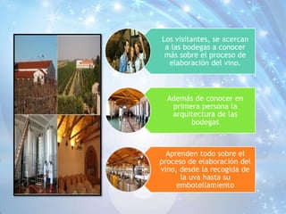 Los visitantes, se acercan
a las bodegas a conocer
más sobre el proceso de
elaboración del vino.
Además de conocer en
primera persona la
arquitectura de las
bodegas
Aprenden todo sobre el
proceso de elaboración del
vino, desde la recogida de
la uva hasta su
embotellamiento
 