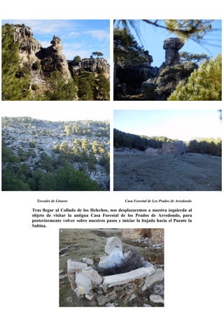Torcales de Linares

Casa Forestal de Los Prados de Arredondo

Tras llegar al Collado de los Helechos, nos desplazaremos a nuestra izquierda al
objeto de visitar la antigua Casa Forestal de los Prados de Arredondo, para
posteriormente volver sobre nuestros pasos e iniciar la bajada hacia el Puente la
Sabina.

 