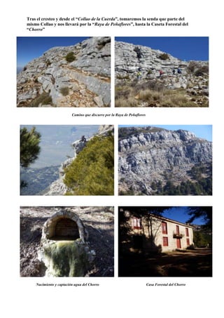 Tras el cresteo y desde el “Collao de la Cuerda”, tomaremos la senda que parte del
mismo Collao y nos llevará por la “Raya de Peñaflores”, hasta la Caseta Forestal del
“Chorro”
Camino que discurre por la Raya de Peñaflores
Nacimiento y captación agua del Chorro Casa Forestal del Chorro
 
