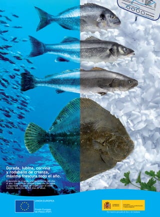 RUTA PESQUERA 210X285+3.pdf   1   22/02/12   18:01
      Ruta Pesquera 91ok:Maquetación 1 01/03/12 7:46 Página 7




 C



 M



 Y



CM



MY



CY



CMY



 K




           Dorada, lubina, corvina
           y rodaballo de crianza,
           máxima frescura todo el año.
           El pescado de crianza, una garantía los 365 días
           al año. Garantía de calidad y frescura, de sabor
           y seguridad. Garantía de respeto por el medio
           marino. Garantía de 365 días de salud.




                                                                   GOBIERNO    MINISTERIO
                                                                   DE ESPAÑA   DE AGRICULTURA, ALIMENTACIÓN
                                                                               Y MEDIO AMBIENTE
 