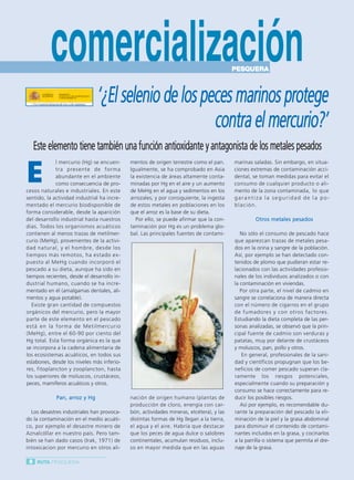 Ruta Pesquera 91ok:Maquetación 1 01/03/12 7:46 Página 8




                    comercialización                                                                PESQUERA



                                         ‘¿El selenio de los peces marinos protege
                                                               contra el mercurio?’
             Este elemento tiene también una función antioxidante y antagonista de los metales pesados

          E
                       l mercurio (Hg) se encuen-      mentos de origen terrestre como el pan.      marinas saladas. Sin embargo, en situa-
                       tra presente de forma           Igualmente, se ha comprobado en Asia         ciones extremas de contaminación acci-
                       abundante en el ambiente        la existencia de áreas altamente conta-      dental, se toman medidas para evitar el
                       como consecuencia de pro-       minadas por Hg en el aire y un aumento       consumo de cualquier producto o ali-
          cesos naturales e industriales. En este      de MeHg en el agua y sedimentos en los       mento de la zona contaminada, lo que
          sentido, la actividad industrial ha incre-   arrozales; y por consiguiente, la ingesta    garantiza la seguridad de la po-
          mentado el mercurio biodisponible de         de estos metales en poblaciones en los       blación.
          forma considerable, desde la aparición       que el arroz es la base de su dieta.
          del desarrollo industrial hasta nuestros        Por ello, se puede afirmar que la con-             Otros metales pesados
          días. Todos los organismos acuáticos         taminación por Hg es un problema glo-
          contienen al menos trazas de metilmer-       bal. Las principales fuentes de contami-        No sólo el consumo de pescado hace
          curio (MeHg), provenientes de la activi-                                                  que aparezcan trazas de metales pesa-
          dad natural, y el hombre, desde los                                                       dos en la orina y sangre de la población.
          tiempos más remotos, ha estado ex-                                                        Así, por ejemplo se han detectado con-
          puesto al MeHg cuando incorporó el                                                        tenidos de plomo que pudieran estar re-
          pescado a su dieta, aunque ha sido en                                                     lacionados con las actividades profesio-
          tiempos recientes, desde el desarrollo in-                                                nales de los individuos analizados o con
          dustrial humano, cuando se ha incre-                                                      la contaminación en viviendas.
          mentado en él (amalgamas dentales, ali-                                                      Por otra parte, el nivel de cadmio en
          mentos y agua potable).                                                                   sangre se correlaciona de manera directa
             Existe gran cantidad de compuestos                                                     con el número de cigarros en el grupo
          orgánicos del mercurio, pero la mayor                                                     de fumadores y con otros factores.
          parte de este elemento en el pescado                                                      Estudiando la dieta completa de las per-
          está en la forma de Metilmercurio                                                         sonas analizadas, se observó que la prin-
          (MeHg), entre el 60-90 por ciento del                                                     cipal fuente de cadmio son verduras y
          Hg total. Esta forma orgánica es la que                                                   patatas, muy por delante de crustáceos
          se incorpora a la cadena alimentaria de                                                   y moluscos, pan, pollo y otros.
          los ecosistemas acuáticos, en todos sus                                                       En general, profesionales de la sani-
          eslabones, desde los niveles más inferio-                                                 dad y científicos propugnan que los be-
          res, fitoplancton y zooplancton, hasta                                                    neficios de comer pescado superan cla-
          los superiores de moluscos, crustáceos,                                                   ramente los riesgos potenciales,
          peces, mamíferos acuáticos y otros.                                                       especialmente cuando su preparación y
                                                                                                    consumo se hace correctamente para re-
                       Pan, arroz y Hg                 nación de origen humano (plantas de          ducir los posibles riesgos.
                                                       producción de cloro, energía con car-           Así por ejemplo, es recomendable du-
            Los desastres industriales han provoca-    bón, actividades mineras, etcétera), y las   rante la preparación del pescado la eli-
          do la contaminación en el medio acuáti-      distintas formas de Hg llegan a la tierra,   minación de la piel y la grasa abdominal
          co, por ejemplo el desastre minero de        el agua y el aire. Habría que destacar       para disminuir el contenido de contami-
          Aznalcóllar en nuestro país. Pero tam-       que los peces de agua dulce o salobres       nantes incluidos en la grasa, y cocinarlos
          bién se han dado casos (Irak, 1971) de       continentales, acumulan residuos, inclu-     a la parrilla o sistema que permita el dre-
          intoxicacion por mercurio en otros ali-      so en mayor medida que en las aguas          naje de la grasa.

           8 RUTA PESQUERA
 