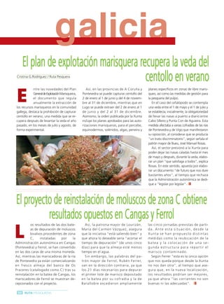 Ruta Pesquera 91ok:Maquetación 1 01/03/12 7:59 Página 88




                                        g
                                        galicia
              El plan de explotación marisquera recupera la veda del
          Cristina G.Rodríguez / Ruta Pesquera
                                                  centollo en verano
          E
                      ntre las novedades del Plan              Así, en las provincias de A Coruña y       planes específicos en zonas de libre maris-
                      General de Explotación Marisqueira,   Pontevedra se puede capturar centollo del     queo, así como las medidas de gestión para
                      el documento que regula               2 de enero al 1 de junio y del 4 de noviem-   la pesquería del pulpo.
                      anualmente la extracción de           bre al 31 de diciembre, mientras que en          En el caso del cefalópodo se contempla
          los recursos marisqueros en la comunidad          Lugo se puede extraer del 2 de enero al 1     una veda entre el 1 de mayo y el 1 de julio y
          gallega, destaca la prohibición de capturar       de junio y del 2 al 31 de diciembre.          se establecía, inicialmente, la obligatoriedad
          centollo en verano, una medida que se re-         Asimismo, la orden publicada por la Xunta     de llevar las nasas a puerto a diario entre
          cupera después de levantar la veda el año         incluye los planes aprobados para las auto-   Cabo Silleiro y Punta Con de Aguieira. Esta
          pasado, en los meses de julio y agosto, de        rizaciones marisqueras, para el percebe,      medida afectaba a varias cofradías de las rías
          forma experimental.                               equinodermos, solénidos, algas, peneira y     de Pontevedra y de Vigo que manifestaron
                                                                                                          su oposición, al considerar que se producía
                                                                                                          “un trato discriminatorio”, según señala el
                                                                                                          patrón mayor de Bueu, José Manuel Rosas.
                                                                                                             Así, el sector presionó a la Xunta para
                                                                                                          poder dejar las nasas caladas hasta el mes
                                                                                                          de mayo y después, durante la veda, elabo-
                                                                                                          rar un plan “que satisfaga a todos”, explica
                                                                                                          Rosas. En este sentido, apuesta por elabo-
                                                                                                          rar un documento “de futuro que nos dure
                                                                                                          bastantes años”, al tiempo que rechaza
                                                                                                          que la Administración autonómica se dedi-
                                                                                                          que a “legislar por legislar”.




          El proyecto de reinstalación de moluscos de zona C obtiene
                    resultados opuestos en Cangas y Ferrol
        L
                     os resultados de las dos bate-            Así, la patrona mayor de Lourizán,         las cinco jornadas previstas de parti-
                     as de depuración de moluscos           María del Carmen Vázquez, asegura             da. Ante esta situación, desde la
                     bivalvos procedentes de zona           que la iniciativa “está saliendo bien” y      Xunta se han propuesto distintas
                     C,     instaladas     por   la         que ahora lo deseable sería “acortar el       m e d i d a s c o m o l a re u b i c a c i ó n d e l a
         Administración autonómica en Cangas                tiempo de depuración” (de unos cinco          batea y la colocación de una se-
         (Pontevedra) y Ferrol, se han convertido           días) para que la almeja esté menos           gunda estructura para repartir el
         en las dos caras de una misma moneda.              tiempo en el agua.                            marisco contaminado.
         Así, mientras las mariscadoras de la ría              Sin embargo, las palabras del pa-            Según Ferrer “esta es la única opción
         de Pontevedra ya están comercializando             trón mayor de Ferrol, Rubén Ferrer,           que nos queda porque desde la Xunta
         e n fre s c o a l me j a de l banco de Os          van en la dirección contraria, ya que         no nos dan otra”, al tiempo que ase-
         Praceres (catalogado como C) tras su               los 21 días necesarios para depurar           gura que, en la nueva localización,
         reinstalación en la batea de Cangas, los           el primer lote de marisco depositado          los resultados podrían ser mejores,
         mariscadores de Ferrol se muestran de-             en la batea por su cofradía y la de           ya que ahora “las corrientes no son
         cepcionados con el proyecto.                       Barallobre excedieron ampliamente             buenas ni las adecuadas”.

           88 RUTA PESQUERA
 