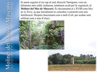 Si anem seguint el riu cap al sud, direcció Tarragona, vora un kilòmetre més enllà, trobarem, totalment ocult per la vegetació, el Molinet del Mas de Mascaró.És documentat al s.XVIII com Mas de la Torre, ja que inicialment és concebut i construït com una fortificació. Després funcionarà com a molí d’oli. per acabar sent utilitzat com a mas d’eines. Molinet del Mas de Mascaró10