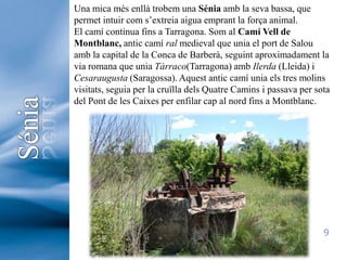 Una mica més enllà trobem una Sénia amb la seva bassa, que permet intuir com s’extreia aigua emprant la força animal.El camí continua fins a Tarragona. Som al Camí Vell de Montblanc, antic camí ral medieval que unia el port de Salou amb la capital de la Conca de Barberà, seguint aproximadament la via romana que unia Tàrraco(Tarragona) amb Ilerda (Lleida) i Cesaraugusta (Saragossa). Aquest antic camí unia els tres molins visitats, seguia per la cruïlla dels Quatre Camins i passava per sota del Pont de les Caixes per enfilar cap al nord fins a Montblanc.Sénia9