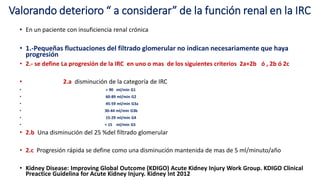 Irc G2 Form LESION RENAL AGUDA | PDF