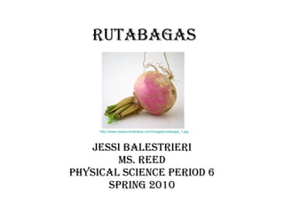 Rutabagas Jessi Balestrieri Ms. Reed Physical Science Period 6 Spring 2010 http://www.restaurantwidow.com/images/rutabaga_1.jpg 
