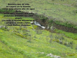 Quisiera que mi vida
    se cayera en la muerte,
 como este chorro alto de agua
              bella
  en el agua tendida matinal;
  ondulado, brillante, sensual,
             alegre,
con todo el mundo diluido en él,
    en gracia nítida y feliz.
    (Juan Ramón Jimenez)
 