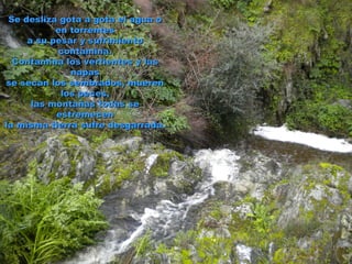 Se desliza gota a gota el agua o
           en torrentes
     a su pesar y sufrimiento
           contamina.
  Contamina los vertientes y las
              napas
se secan los sembrados, mueren
            los peces,
      las montañas todas se
           estremecen
la misma tierra sufre desgarrada.
 