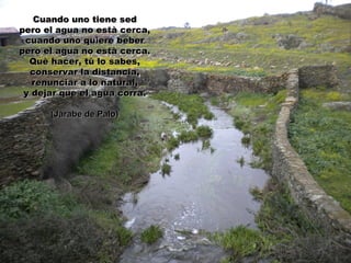 Cuando uno tiene sed
pero el agua no està cerca,
 cuando uno quiere beber
pero el agua no està cerca.
  Què hacer, tù lo sabes,
  conservar la distancia,
   renunciar a lo natural,
 y dejar que el agua corra.

      (Jarabe de Palo)
 