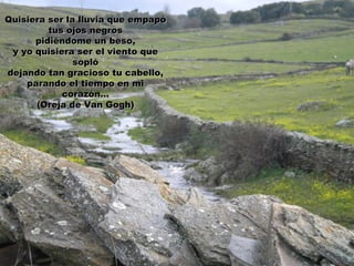 Quisiera ser la lluvia que empapó
         tus ojos negros
      pidiéndome un beso,
 y yo quisiera ser el viento que
               sopló
dejando tan gracioso tu cabello,
    parando el tiempo en mi
            corazón…
      (Oreja de Van Gogh)
 