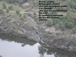 El mar. La mar.
El mar. ¡Sólo la mar!
¿Por qué me trajiste, padre,
a la ciudad?
¿Por qué me desenterraste
del mar?
En sueños, la marejada
Me tira del corazón.
(Alberti)
 