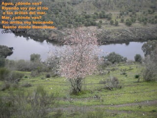Agua, ¿dónde vas?
Riyendo voy por el río
 a las orillas del mar.
Mar, ¿adónde vas?
Río arriba voy buscando
 fuente donde descansar.
(García Lorca)
 
