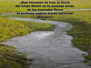 ¡Qué hermoso es tras la lluvia
del triste Otoño en la azulada tarde,
        de las húmedas flores
 el perfume aspirar hasta saciarse!
              (Becquer)
 