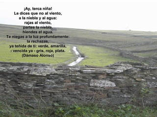 ¡Ay, terca niña!
     Le dices que no al viento,
       a la niebla y al agua:
           rajas al viento,
          partes la niebla,
          hiendes el agua.
Te niegas a la luz profundamente:
             la rechazas,
 ya teñida de ti: verde, amarilla,
  - vencida ya - gris, roja, plata.
         (Dámaso Alonso)
 