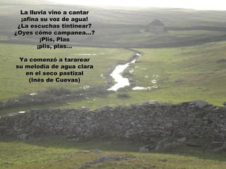 La lluvia vino a cantar
  ¡afina su voz de agua!
 ¿La escuchas tintinear?
¿Oyes cómo campanea...?
         ¡Plis, Plas
        ¡plis, plas...

 Ya comenzó a tararear
su melodía de agua clara
   en el seco pastizal
    (Inés de Cuevas)
 