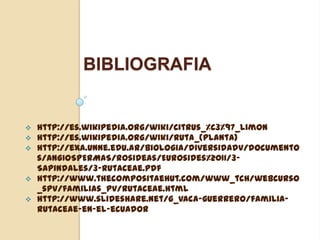 BIBLIOGRAFIA








http://es.wikipedia.org/wiki/Citrus_%C3%97_limon
http://es.wikipedia.org/wiki/Ruta_(planta)
http://exa.unne.edu.ar/biologia/diversidadv/documento
s/ANGIOSPERMAS/Rosideas/Eurosides%20II/3Sapindales/3-Rutaceae.pdf
http://www.thecompositaehut.com/www_tch/webcurso
_spv/familias_pv/rutaceae.html
http://www.slideshare.net/g_vaca-guerrero/familiarutaceae-en-el-ecuador

 