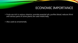 ECONOMIC IMPORTANCE
• Fruits are rich in various vitamins, provide essential oils, purifies blood, reduces thirst
and various parts of some plants are used medicinally.
• Also used as ornamentals.
 