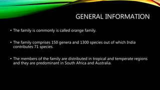 GENERAL INFORMATION
• The family is commonly is called orange family.
• The family comprises 150 genera and 1300 species out of which India
contributes 71 species.
• The members of the family are distributed in tropical and temperate regions
and they are predominant in South Africa and Australia.
 