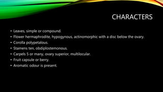 CHARACTERS
• Leaves, simple or compound.
• Flower hermaphrodite, hypogynous, actinomorphic with a disc below the ovary.
• Corolla polypetalous.
• Stamens ten, obdiplostemonous.
• Carpels 5 or many, ovary superior, multilocular.
• Fruit capsule or berry.
• Aromatic odour is present.
 