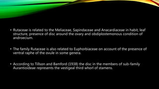 • Rutaceae is related to the Meliaceae, Sapindaceae and Anacardiaceae in habit, leaf
structure, presence of disc around the ovary and obdiplostemonous condition of
androecium.
• The family Rutaceae is also related to Euphorbiaceae on account of the presence of
ventral raphe of the ovule in some genera.
• According to Tillson and Bamford (1938) the disc in the members of sub-family
Aurantioideae represents the vestigeal third whorl of stamens.
 