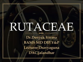 RUTACEAE
Dr.Deepak Verma
BAMS MD DIP.Y&P
Lecturer Dravyaguna
DAC,jalandhar
 