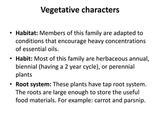 Vegetative characters
• Habitat: Members of this family are adapted to
conditions that encourage heavy concentrations
of essential oils.
• Habit: Most of this family are herbaceous annual,
biennial (having a 2 year cycle), or perennial
plants
• Root system: These plants have tap root system.
The roots are large enough to store the useful
food materials. For example: carrot and parsnip.
 