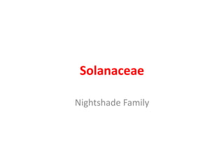 Solanaceae
Nightshade Family
 