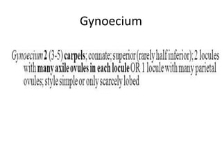 Gynoecium
 