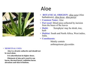Aloe
 