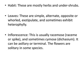 • Habit: These are mostly herbs and under-shrubs.
• Leaves: These are simple, alternate, opposite or
whorled, exstipulate, and sometimes exhibit
heterophylly.
• Inflorescence: This is usually racemose (raceme
or spike), and sometimes cymose (dichasium). It
can be axillary or terminal. The flowers are
solitary in some species.
 
