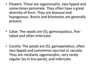 • Flowers: These are zygomorphic, two-lipped and
some-times personate. They often have a great
diversity of form. They are bisexual and
hypogynous. Bracts and bracteoles are generally
present.
• Calyx: The sepals are (5), gamosepalous, five-
lobed and often imbricate.
• Corolla: The petals are (5), gamopetalous, often
two-lipped and sometimes spurred or saccate.
They are medianly zygomorphic, very rarely
regular (as in Sco-paria), and imbricate.
 