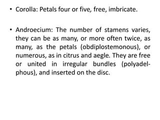 • Corolla: Petals four or five, free, imbricate.
• Androecium: The number of stamens varies,
they can be as many, or more often twice, as
many, as the petals (obdiplostemonous), or
numerous, as in citrus and aegle. They are free
or united in irregular bundles (polyadel-
phous), and inserted on the disc.
 