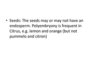 • Seeds: The seeds may or may not have an
endosperm. Polyembryony is frequent in
Citrus, e.g. lemon and orange (but not
pummelo and citron)
 