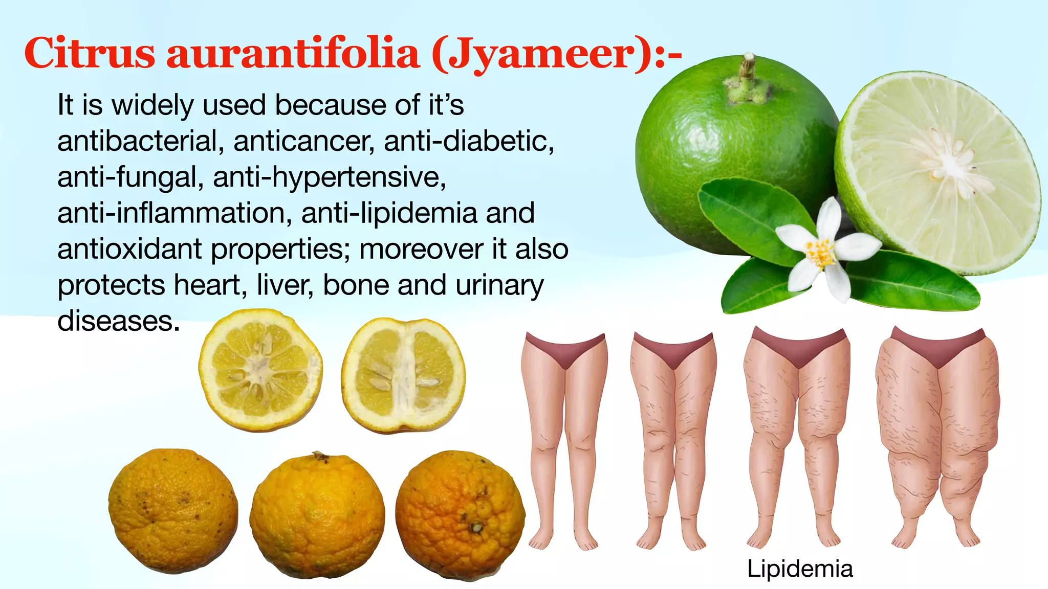 Citrus aurantifolia (Jyameer):-
It is widely used because of it’s
antibacterial, anticancer, anti-diabetic,
anti-fungal, anti-hypertensive,
anti-inflammation, anti-lipidemia and
antioxidant properties; moreover it also
protects heart, liver, bone and urinary
diseases.
Lipidemia
 