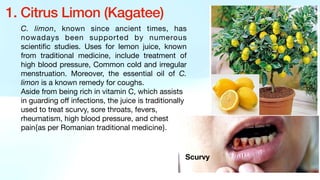 C. limon, known since ancient times, has
nowadays been supported by numerous
scienti
fi
c studies. Uses for lemon juice, known
from traditional medicine, include treatment of
high blood pressure, Common cold and irregular
menstruation. Moreover, the essential oil of C.
limon is a known remedy for coughs.
Aside from being rich in vitamin C, which assists
in guarding o
ff
infections, the juice is traditionally
used to treat scurvy, sore throats, fevers,
rheumatism, high blood pressure, and chest
pain{as per Romanian traditional medicine}.
1. Citrus Limon (Kagatee)
Scurvy
 