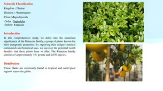 Scienti
fi
c Classi
fi
cation
Kingdom : Plantae
Division : Phanerogams
Class: Magnoliposida
Order : Sapindales
Family: Rutaceae
Introduction
In this comprehensive study, we delve into the medicinal
signi
fi
cance of the Rutaceae family, a group of plants known for
their therapeutic properties. By exploring their unique chemical
compounds and historical uses, we uncover the potential health
bene
fi
ts that these plants have to offer. The Rutaceae family
consists of approximately 160 genera and 2,070 species.
Distribution
These plants are commonly found in tropical and subtropical
regions across the globe.
 