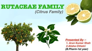 RUTACEAE FAMILY
Presented By :-
1. Arun Kumar Shah
2.Alisha Chhetri
(B.Pharm-1st year)
(Citrus Family)
 