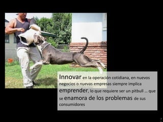 Innovar en la operación cotidiana, en nuevos
negocios o nuevas empresas siempre implica
emprender, lo que requiere ser un pitbull … que
se enamora de los problemas de sus
consumidores


                                                  7
 