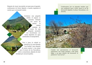 Continuamos por un pequeño sendero que
nos conducirá, poco a poco, hacia la vía de
ferrocarril dejando el arroyo Navarderas a la
derecha.
Cuando nos aproximemos al ferrocarril,
seguiremos una senda paralela a éste hasta
llegar a un paso inferior del ferrocarril: el
puente de “Las Cuevas”.
Después de cruzar una puerta con paso para el ganado,
continuamos de frente dejando a nuestra izquierda el
camino que va al puente Lomito.
Comienza una pequeña
subida, el espacio se
ensancha limitado
por cercas de
piedra, la
cañada
continúa de
frente. En esta
pequeña ascensión
nos encontramos con
varios depósitos de agua
construidos en mampostería.
Poco a poco la cañada se
estrecha en la zona llamada
“Las Casillas” para después
de pocos metros y tras pasar
por el arroyo de las Navarderas,
volver a ensancharse, dejando de estar
limitado por cercas de piedra.
10 11
 
