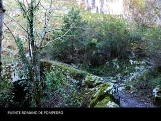 PUENTE ROMANO DE POMPEDRO
DESVIO