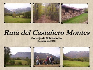 Ruta del Castañero Montes
Concejo de Sobrescobio
Octubre de 2010
 