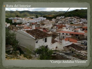  Ruta del Interior




                      “Cortijo Andaluz Vicente”
 