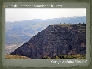  Ruta del Interior “ Mirador de la Cerrá”




                                “Cortijo Andaluz Vicente”
 