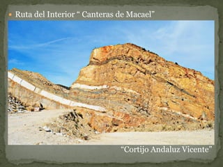 Ruta del Interior “ Canteras de Macael”




                               “Cortijo Andaluz Vicente”
 