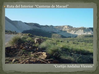  Ruta del Interior “Canteras de Macael”




                              “Cortijo Andaluz Vicente”
 