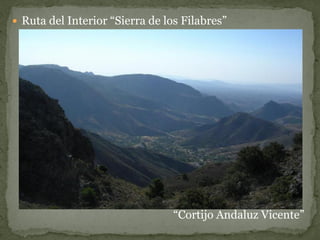  Ruta del Interior “Sierra de los Filabres”




                                 “Cortijo Andaluz Vicente”
 