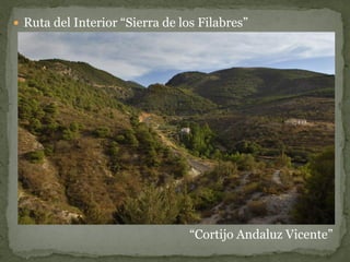  Ruta del Interior “Sierra de los Filabres”




                                 “Cortijo Andaluz Vicente”
 