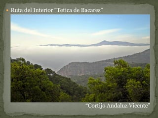  Ruta del Interior “Tetica de Bacares”




                                “Cortijo Andaluz Vicente”
 